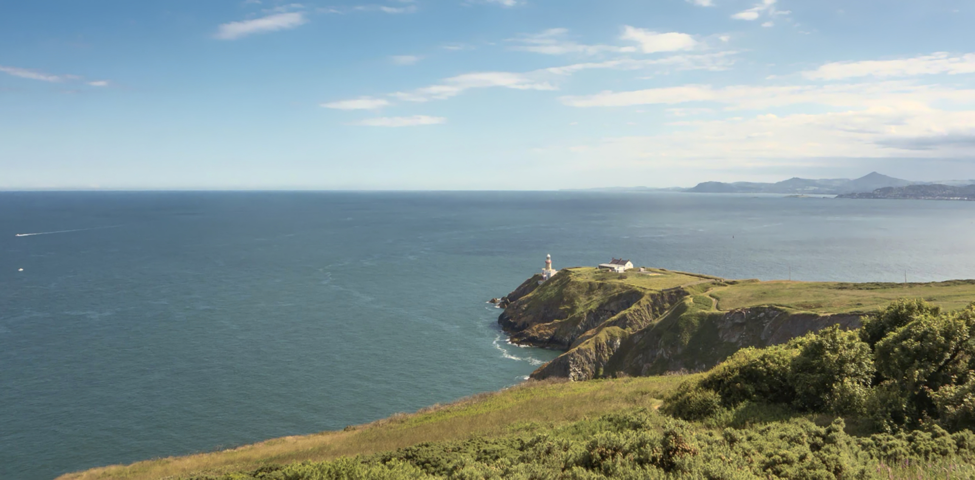 Cruise-image (1).jpg