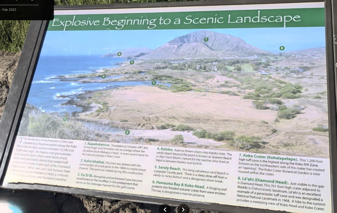 Screenshot 2026-02-23 17.32.jpg