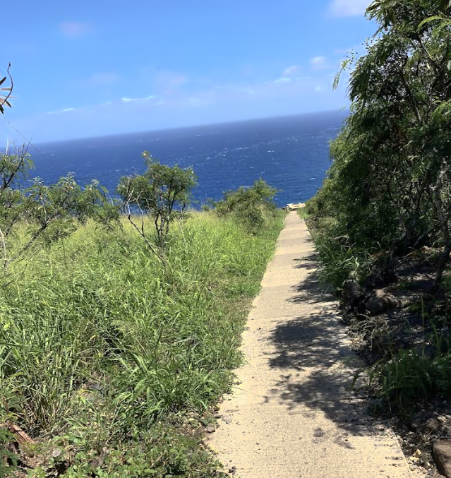 Screenshot 2026-02-23 17.33 (1).jpg